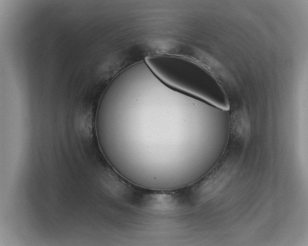 X0000112540509200908241529