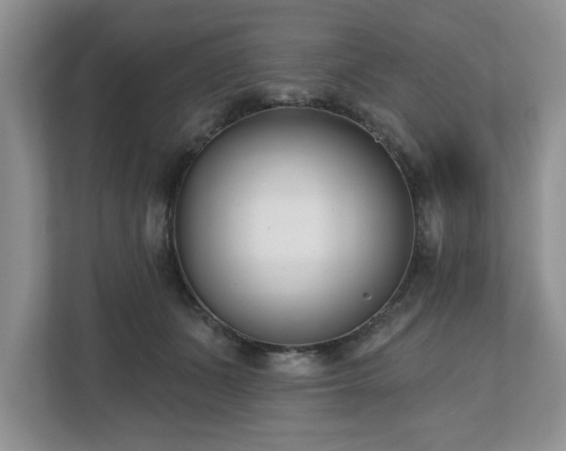 X0000112540511200908241529