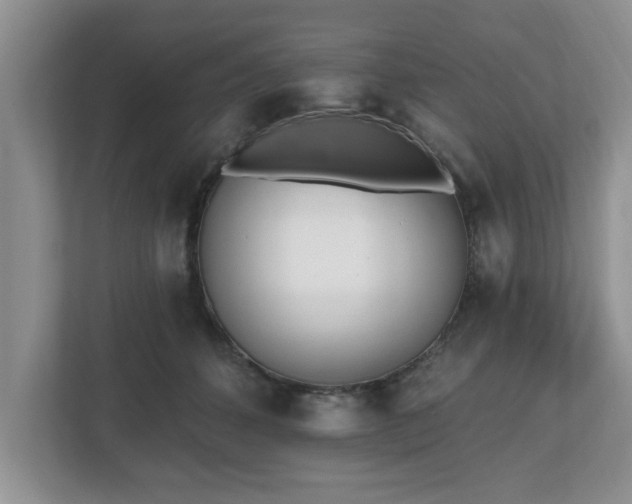 X0000112540512200908241529