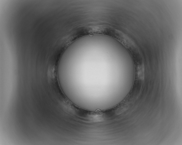 X0000112540514200908241529