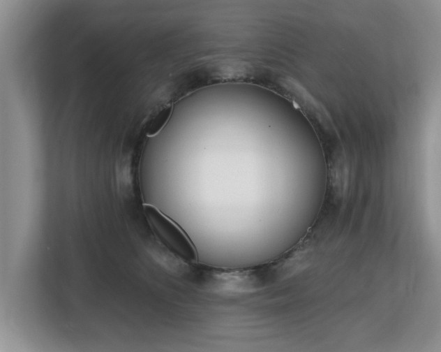 X0000112540516200908241529