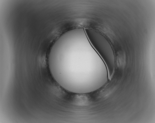 X0000112540520200908241529