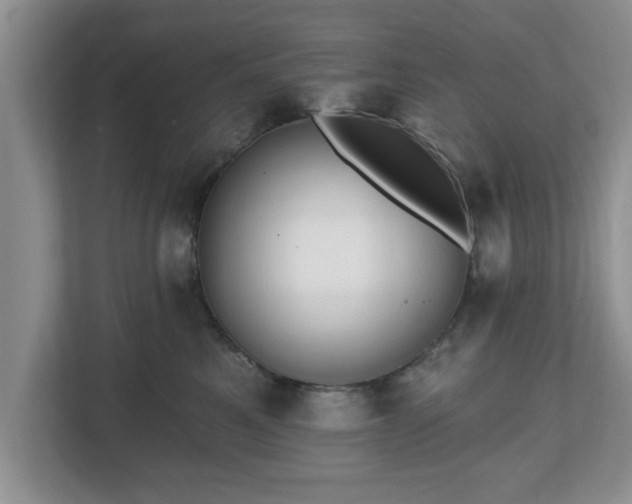 X0000112540521200908241529