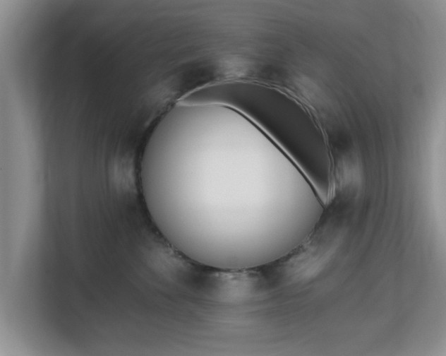 X0000112540524200908241529