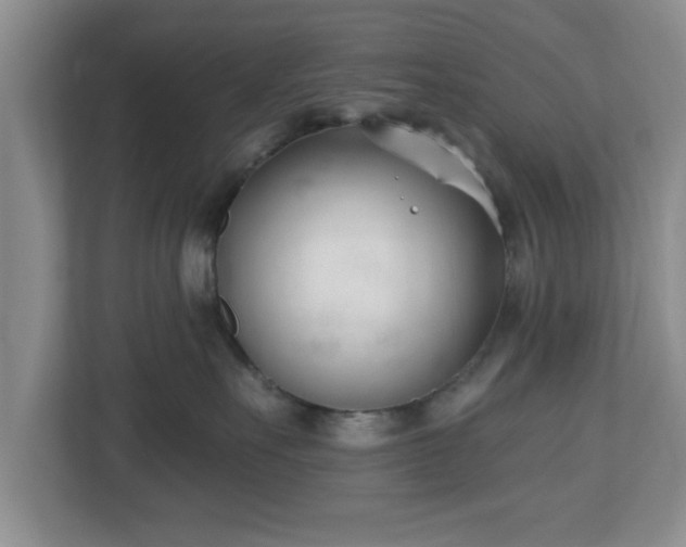 X0000112540527200908241529