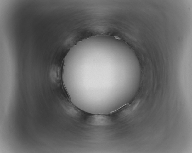 X0000112540528200908241529
