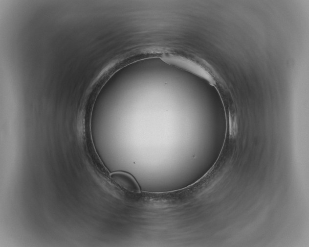 X0000112540531200908241529