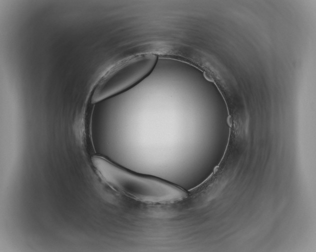 X0000112540532200908241529