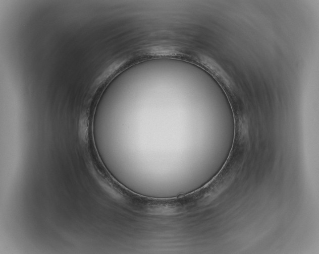 X0000112540533200908241529
