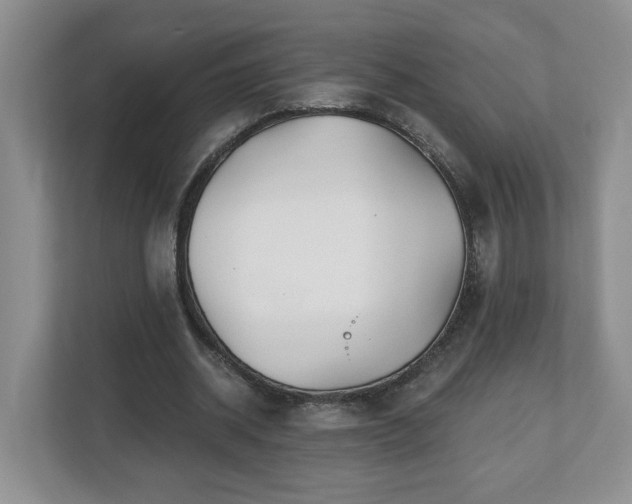 X0000112540534200908241529