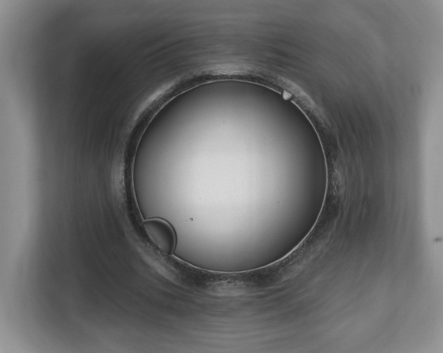 X0000112540535200908241529