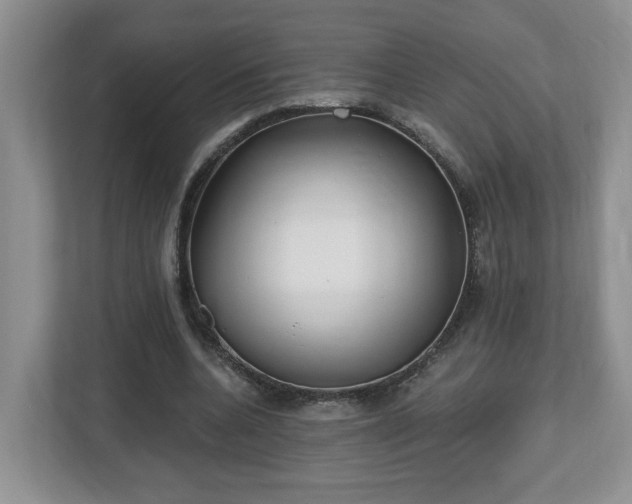 X0000112540536200908241529
