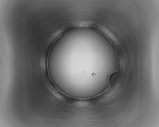 X0000112540537200908241529