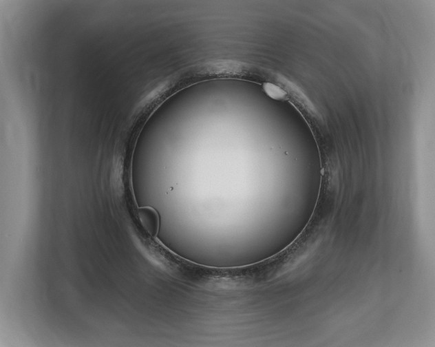 X0000112540538200908241529