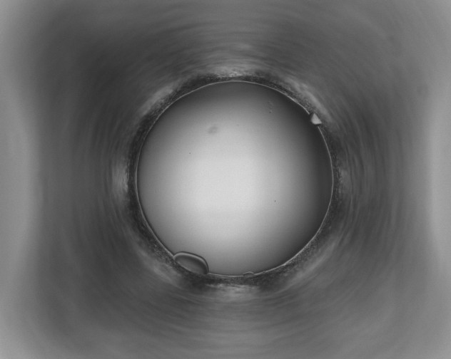 X0000112540539200908241529