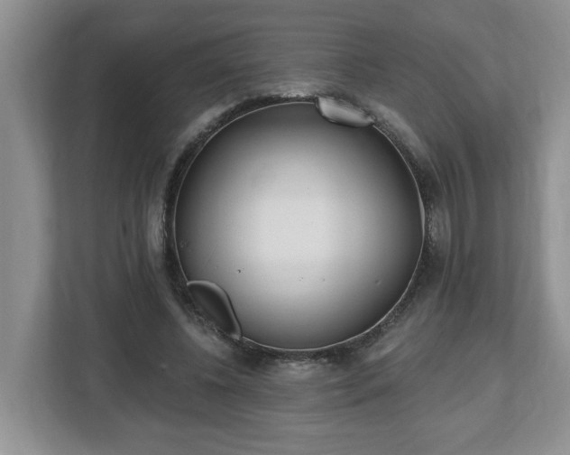 X0000112540540200908241529