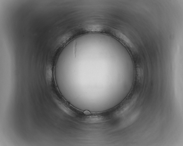 X0000112540541200908241529
