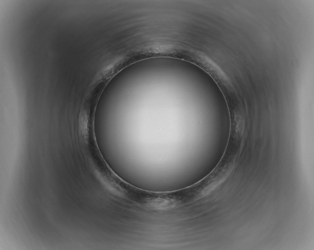 X0000112540542200908241529