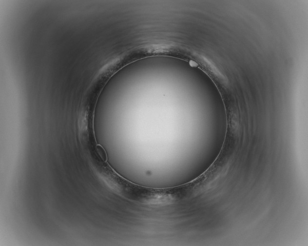 X0000112540543200908241529