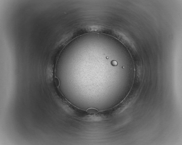 X0000112540545200908241529