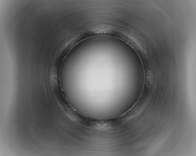 X0000112540547200908241529