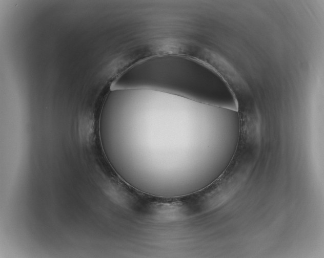X0000112540548200908241529