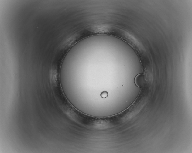 X0000112540549200908241529