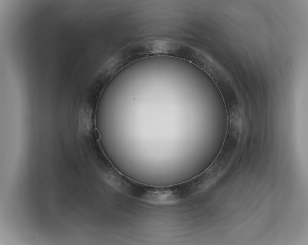 X0000112540554200908241529