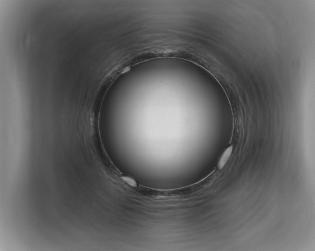 X0000112540556200908241529