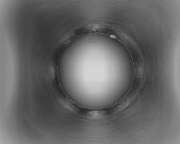 X0000112540558200908241529
