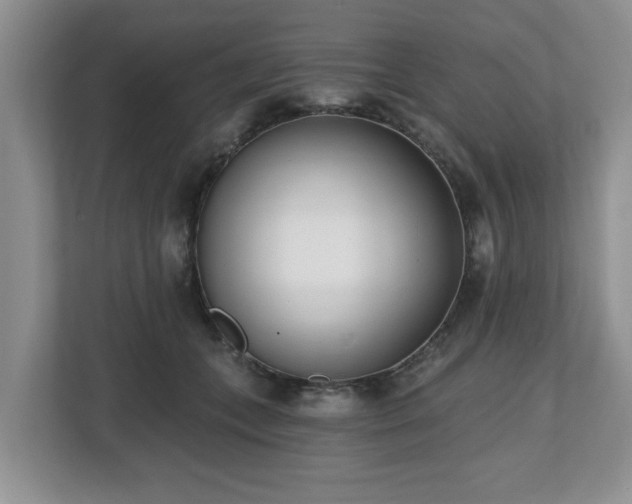 X0000112540559200908241529