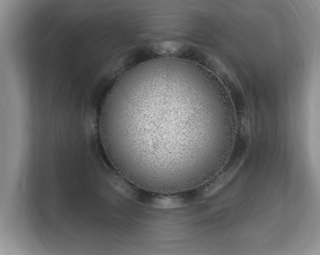 X0000112540561200908241529