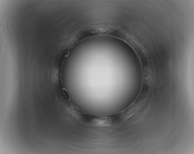 X0000112540563200908241529