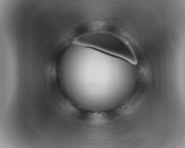 X0000112540566200908241529