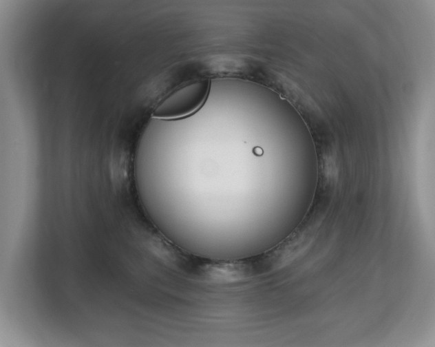 X0000112540567200908241529