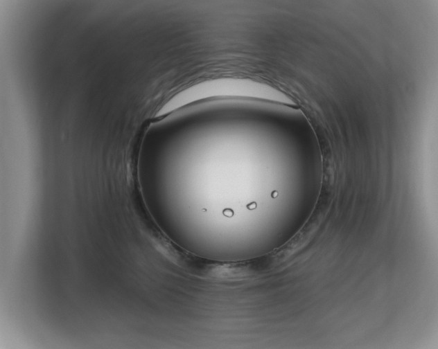 X0000112540568200908241529