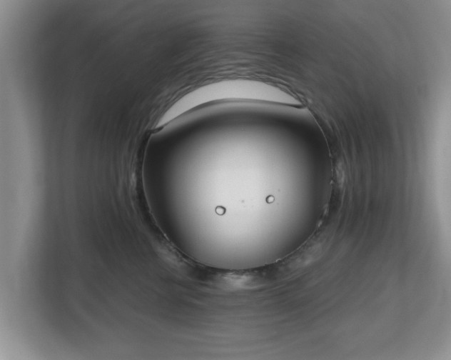 X0000112540570200908241529