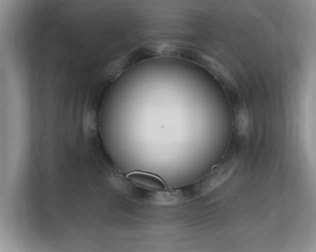 X0000112540571200908241529