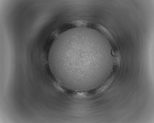 X0000112540573200908241529
