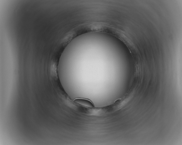 X0000112540575200908241529
