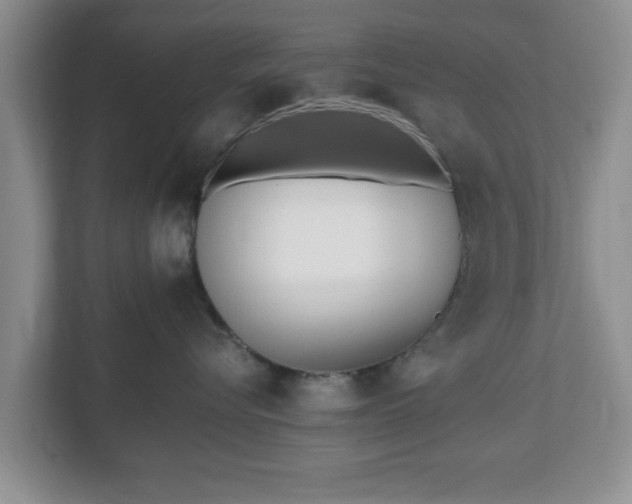 X0000112540576200908241529