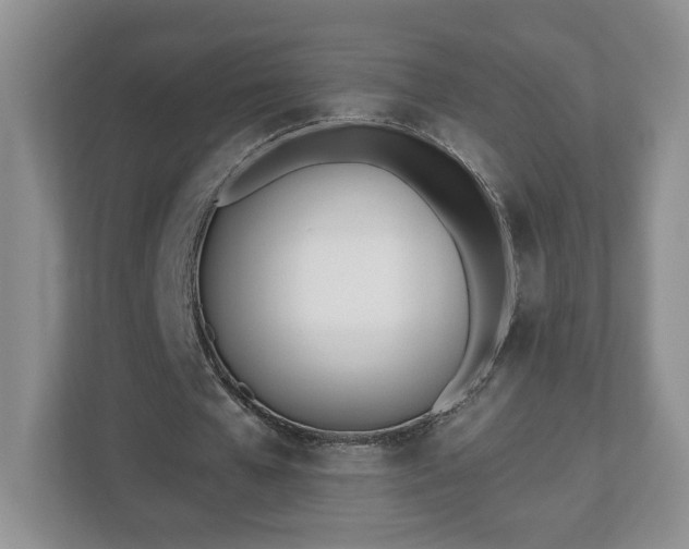 X0000112540577200908241529