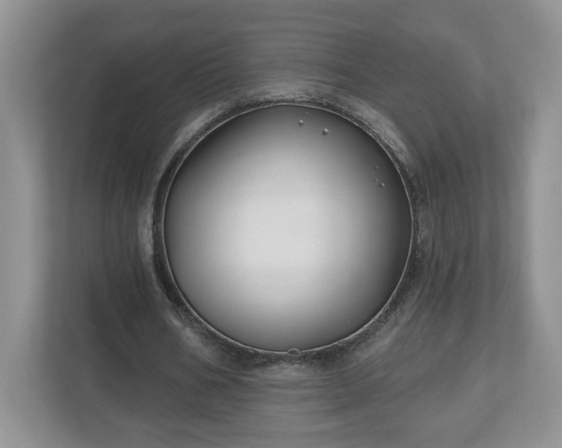 X0000112540578200908241528