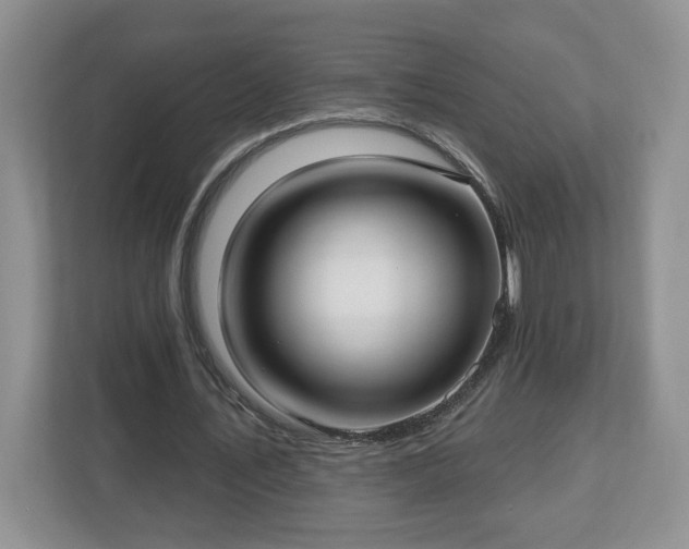 X0000112540579200908241528