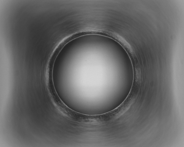 X0000112540580200908241528