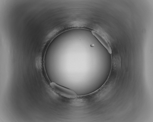 X0000112540581200908241528