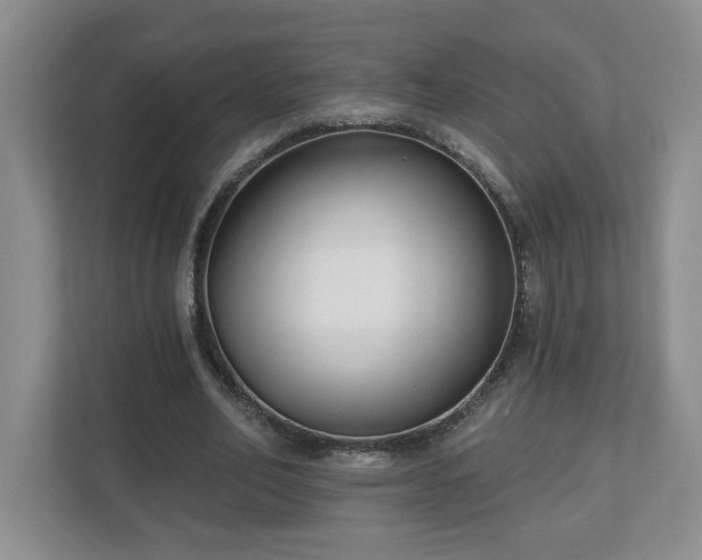 X0000112540582200908241528