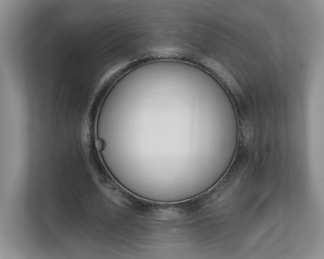 X0000112540583200908241528