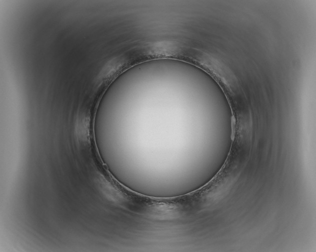 X0000112540585200908241528