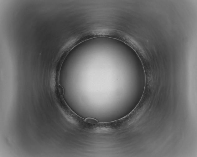 X0000112540586200908241528